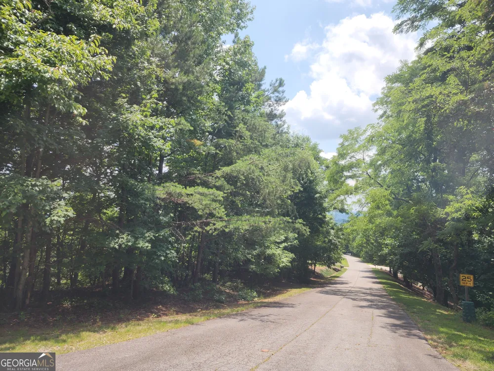 LOT #14 Little Eagle Mtn Clarkesville, GA 30523