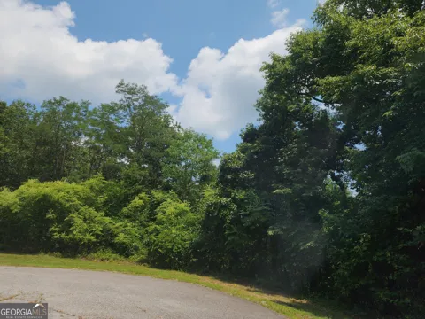 LOT #14 Little Eagle Mtn