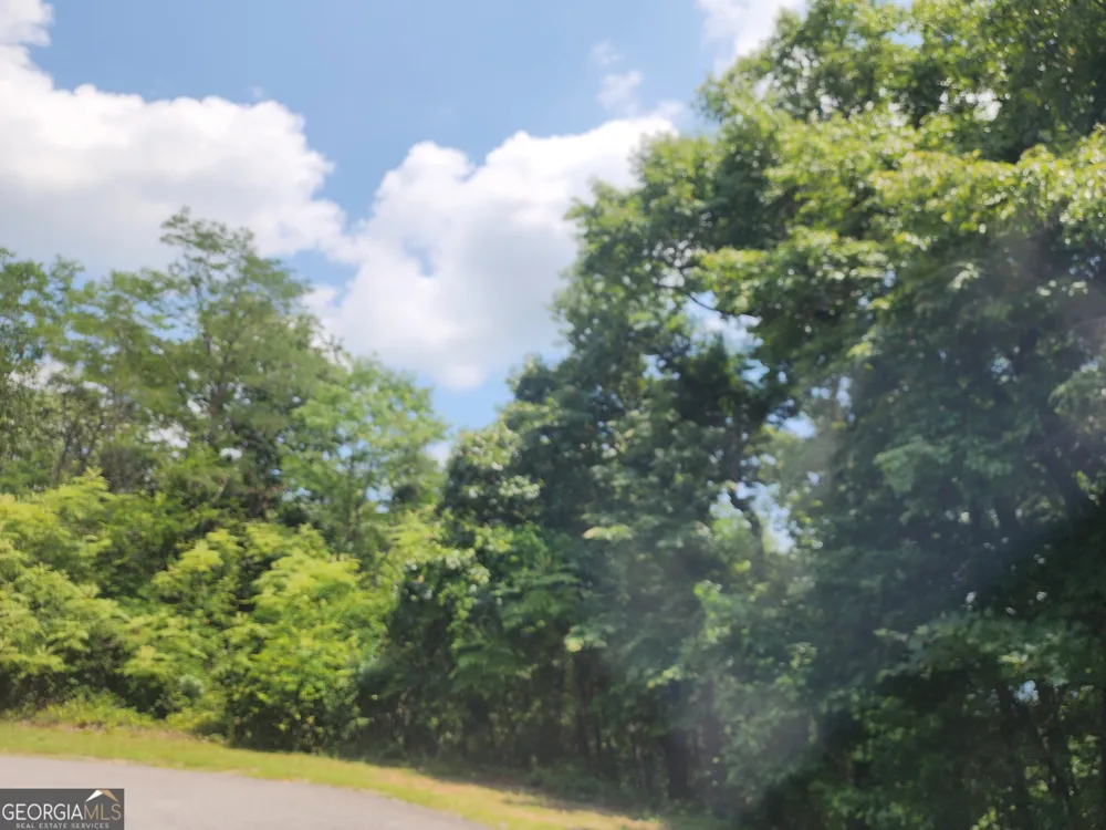 LOT #14 Little Eagle Mtn Clarkesville, GA 30523