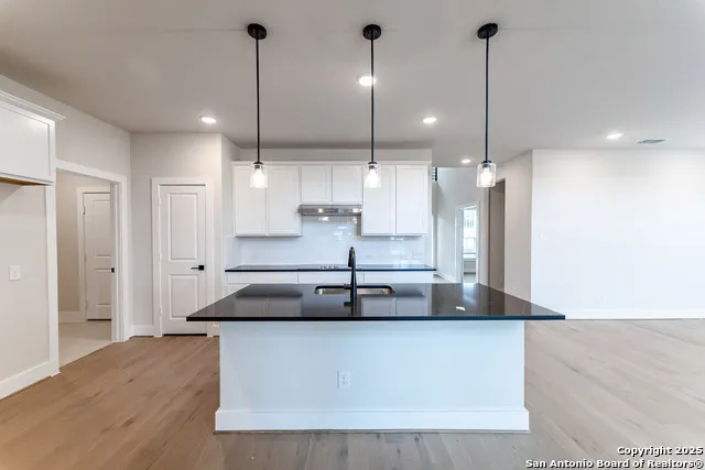 145 Hazel Way Mico, TX 78066