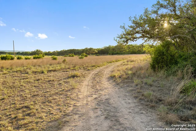 370 Gray Wolf Blanco, TX 78606