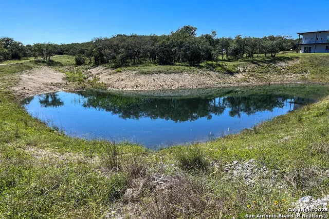 370 Gray Wolf Blanco, TX 78606
