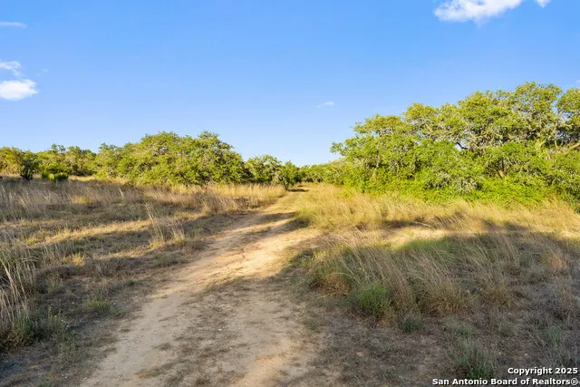 370 Gray Wolf Blanco, TX 78606