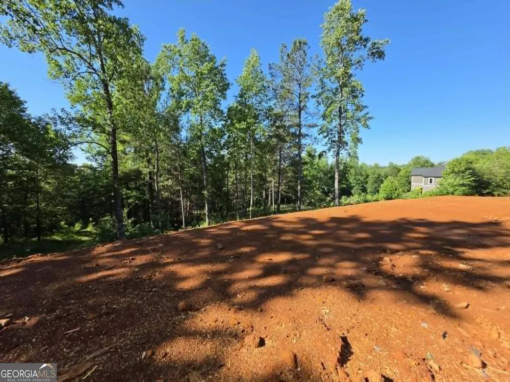 343 Currahee Club DR Toccoa, GA 30577