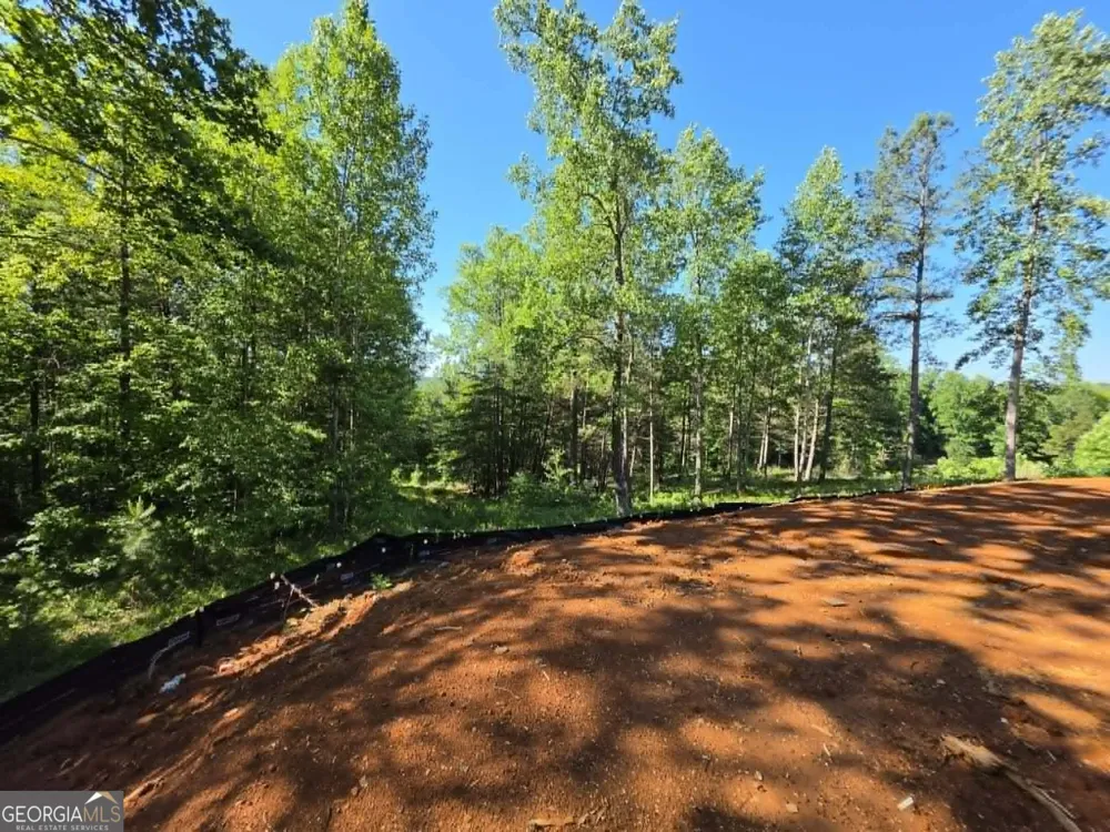 343 Currahee Club DR Toccoa, GA 30577
