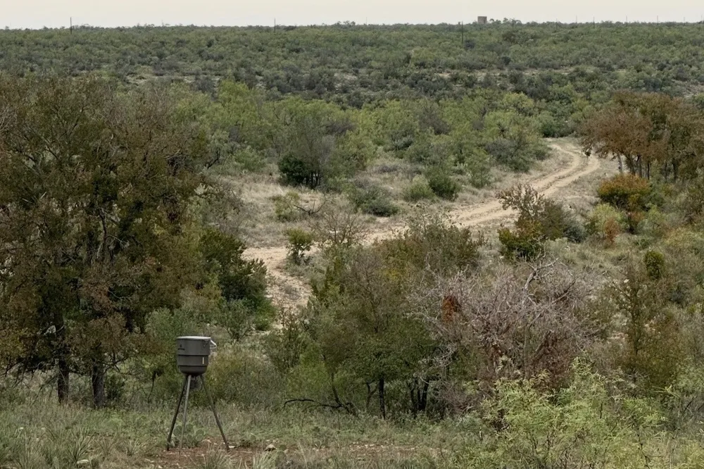 1644 Fm-1929 Voss, TX 76888