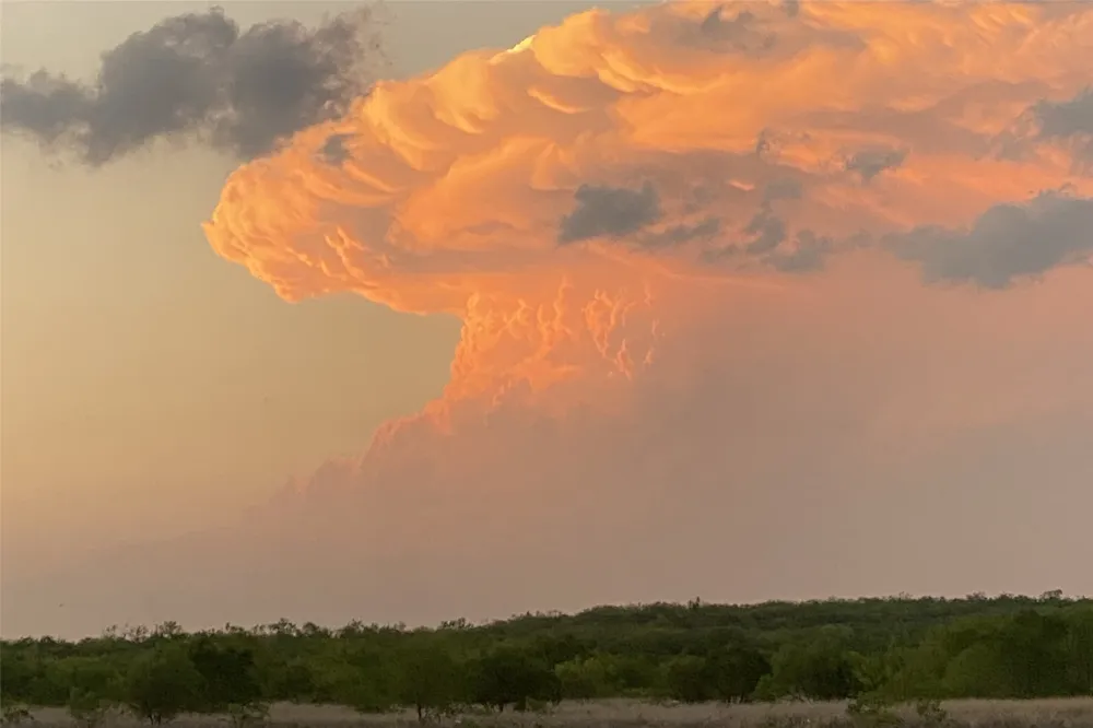 1644 Fm-1929 Voss, TX 76888