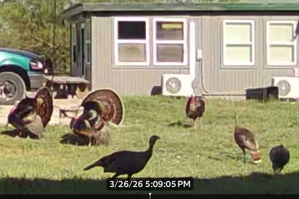 1644 Fm-1929 Voss, TX 76888