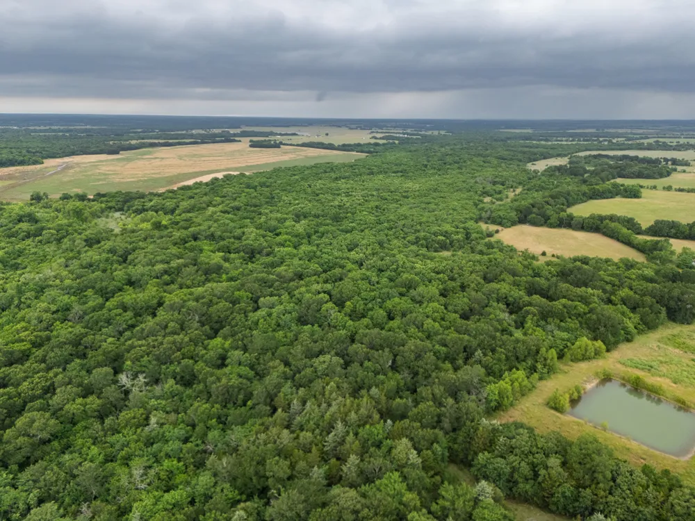 County Road 2158 Cooper, TX 75432