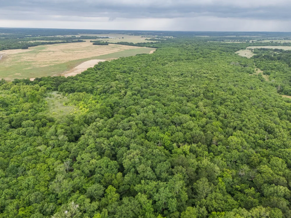 County Road 2158 Cooper, TX 75432