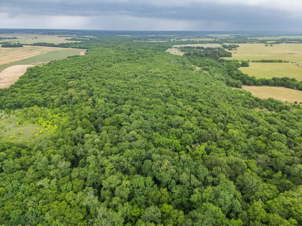 County Road 2158 Cooper, TX 75432