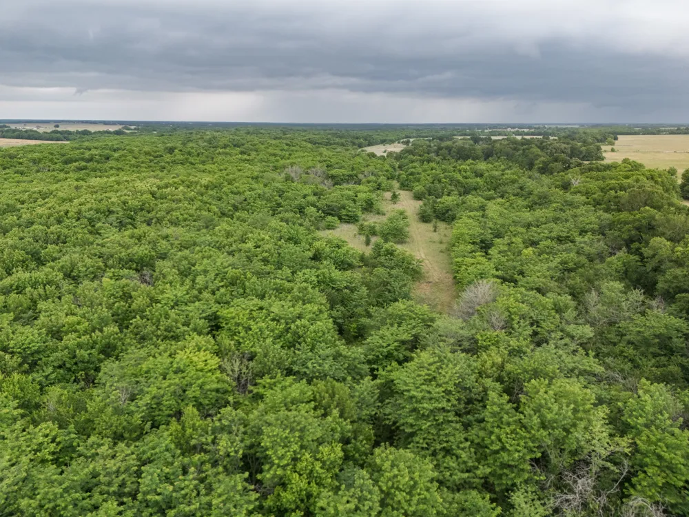 County Road 2158 Cooper, TX 75432
