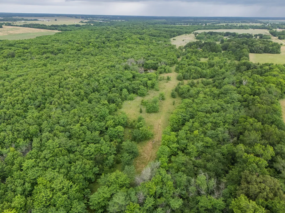County Road 2158 Cooper, TX 75432