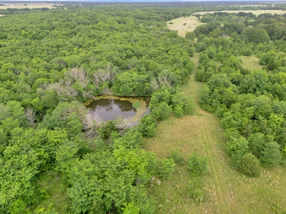 County Road 2158 Cooper, TX 75432