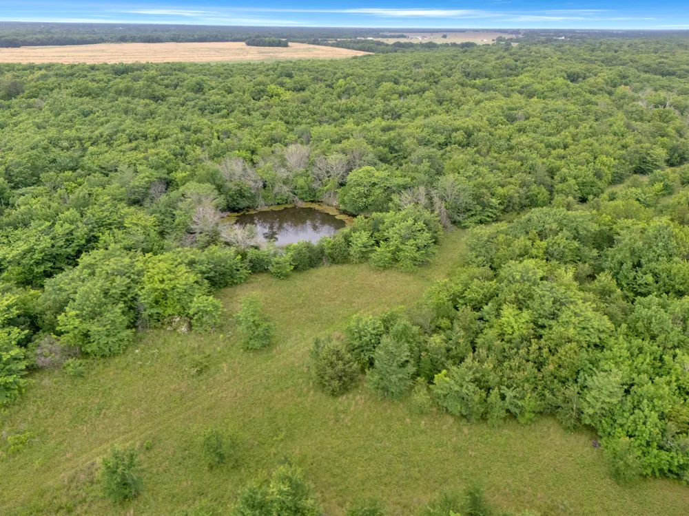 County Road 2158 Cooper, TX 75432
