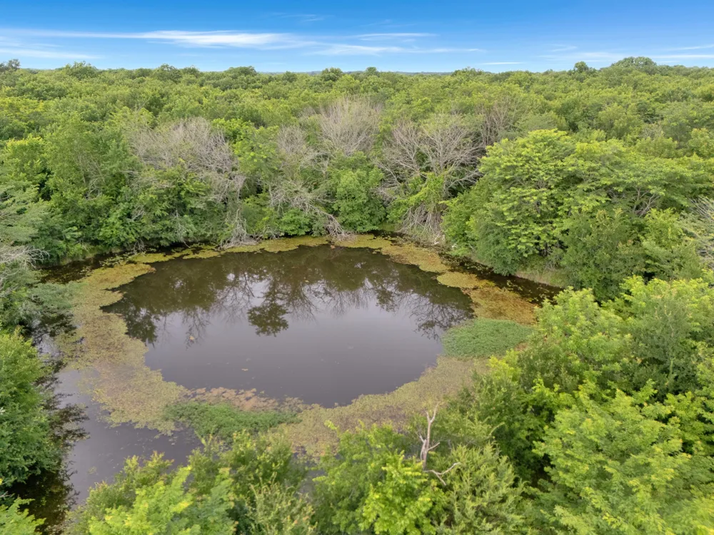 County Road 2158 Cooper, TX 75432