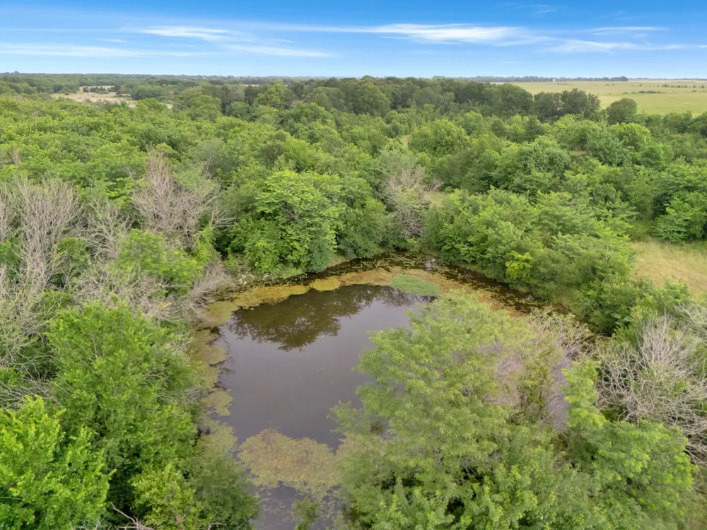 County Road 2158 Cooper, TX 75432