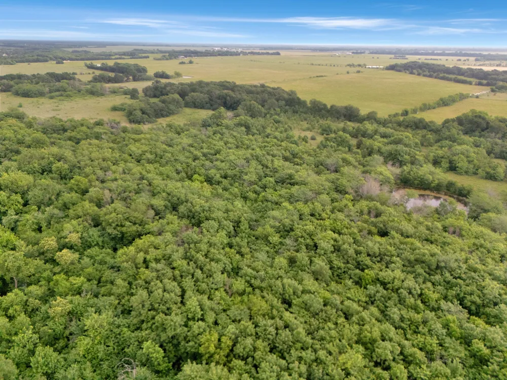 County Road 2158 Cooper, TX 75432