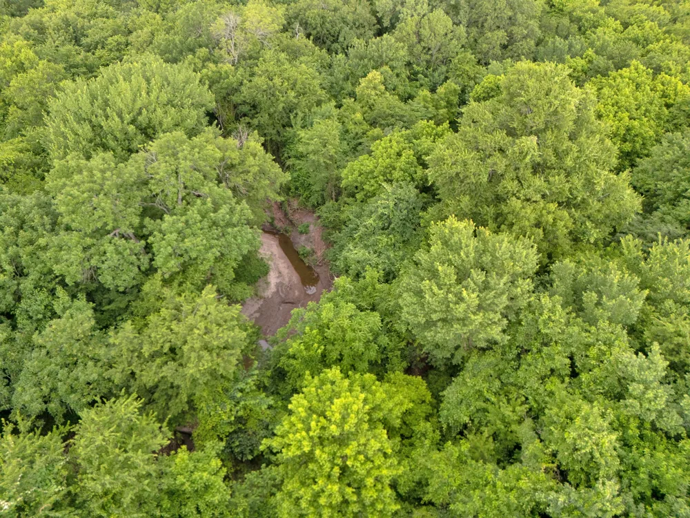 County Road 2158 Cooper, TX 75432