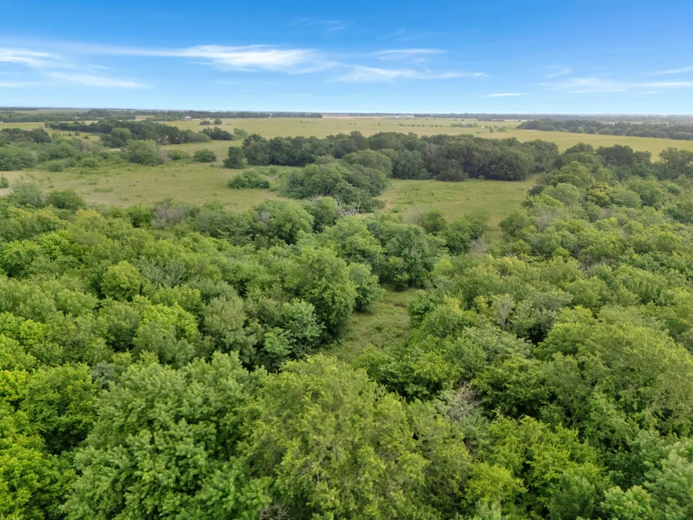 County Road 2158 Cooper, TX 75432