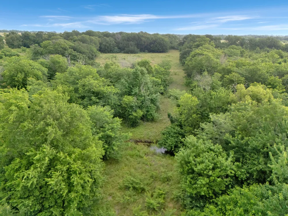 County Road 2158 Cooper, TX 75432