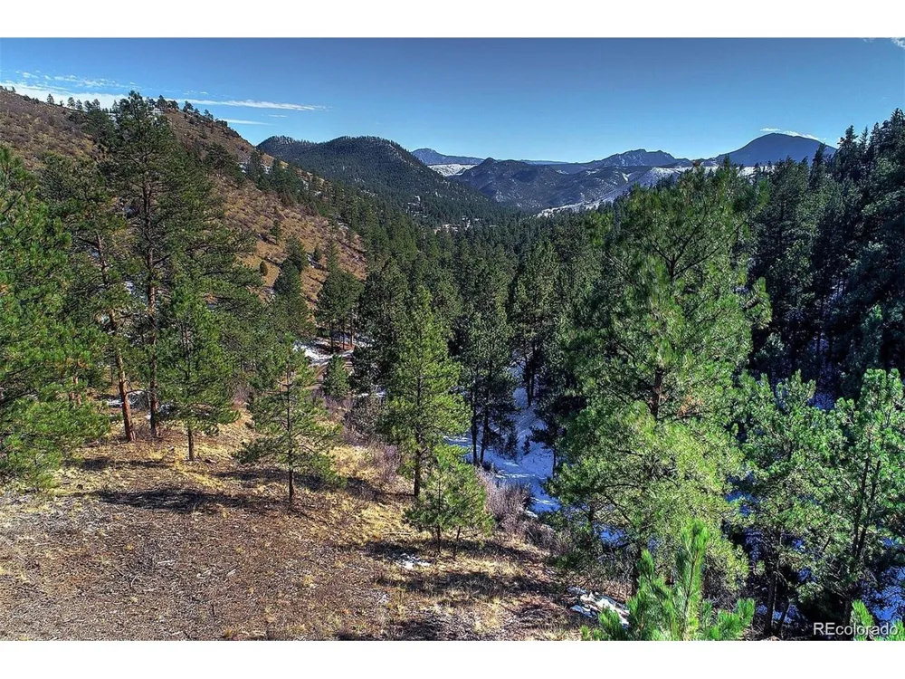 6 Turret Peak Trail Pine, CO 80470