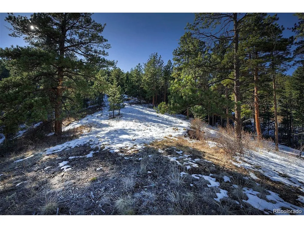 6 Turret Peak Trail Pine, CO 80470