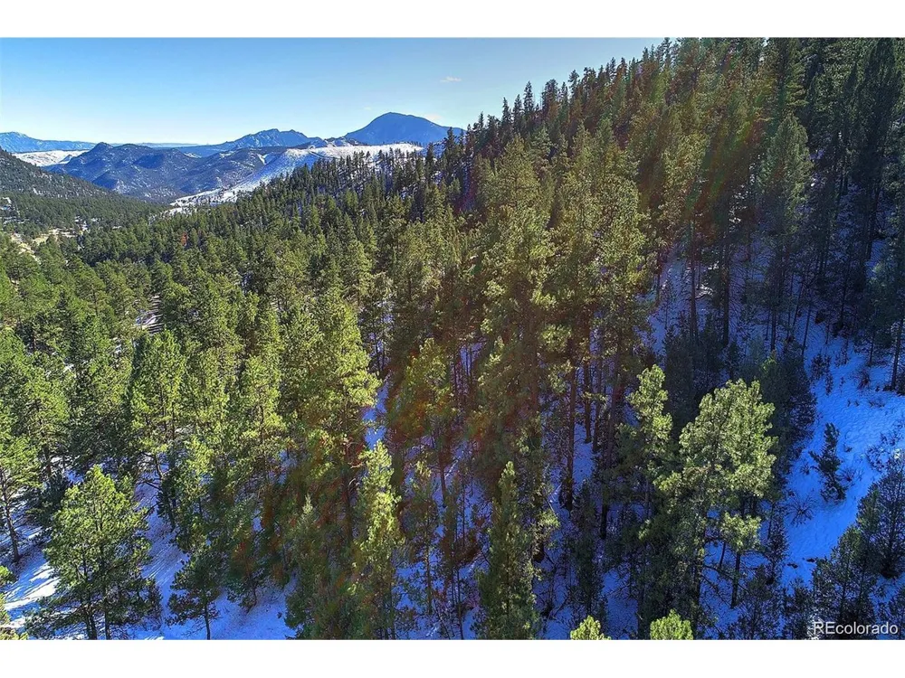 6 Turret Peak Trail Pine, CO 80470