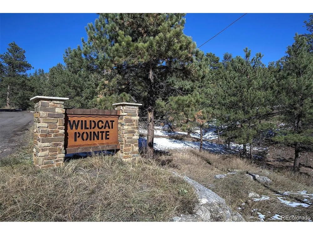 6 Turret Peak Trail Pine, CO 80470