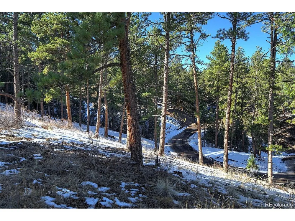 6 Turret Peak Trail Pine, CO 80470
