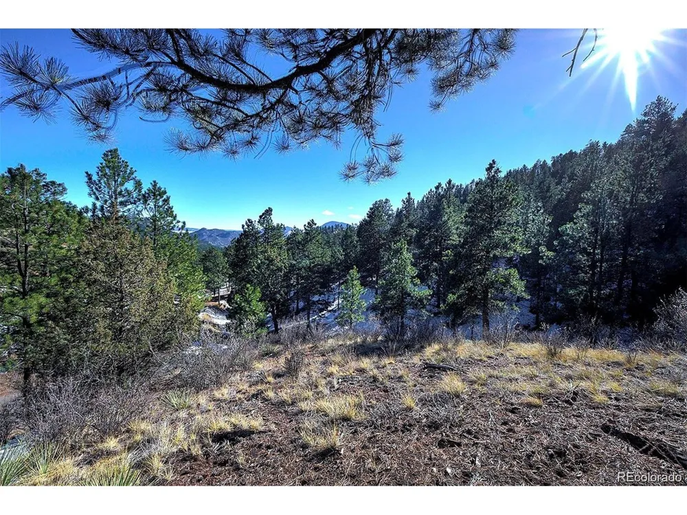 6 Turret Peak Trail Pine, CO 80470