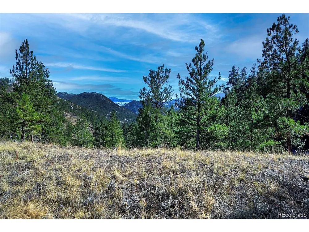 6 Turret Peak Trail Pine, CO 80470
