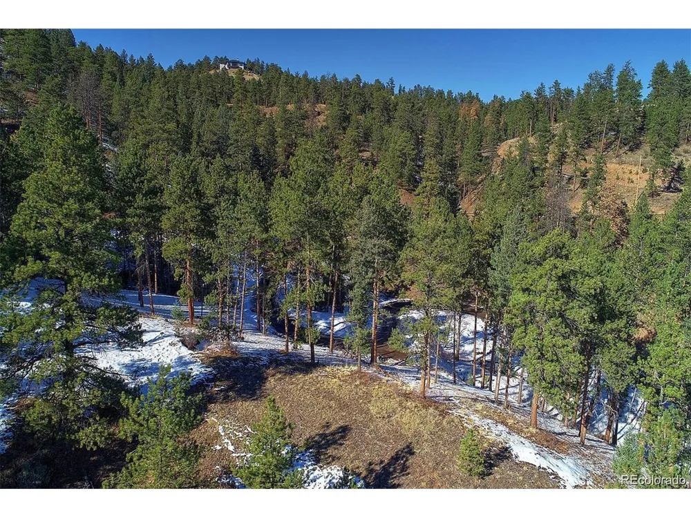 6 Turret Peak Trail Pine, CO 80470