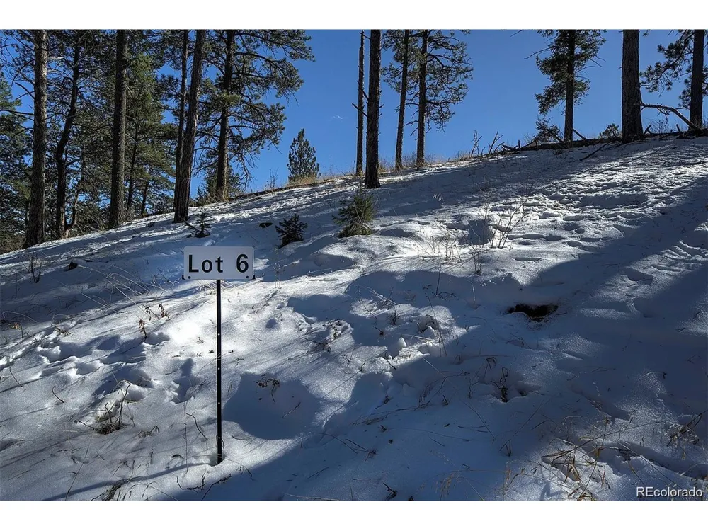 6 Turret Peak Trail Pine, CO 80470