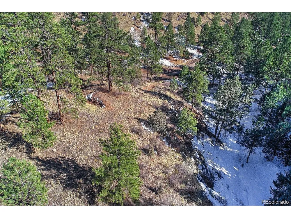 6 Turret Peak Trail Pine, CO 80470