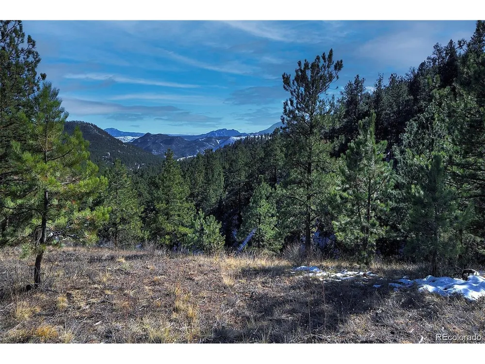 6 Turret Peak Trail Pine, CO 80470