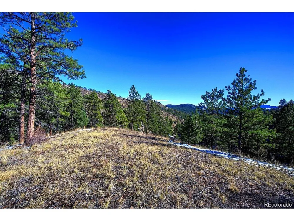 6 Turret Peak Trail Pine, CO 80470