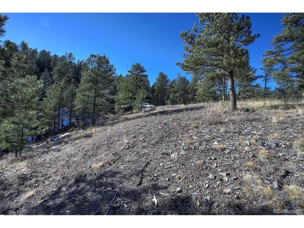 6 Turret Peak Trail Pine, CO 80470