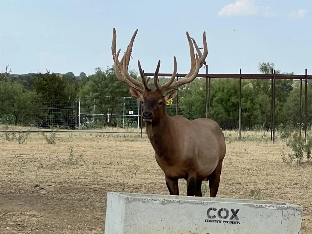 Cavalier Road Strawn, TX 76475