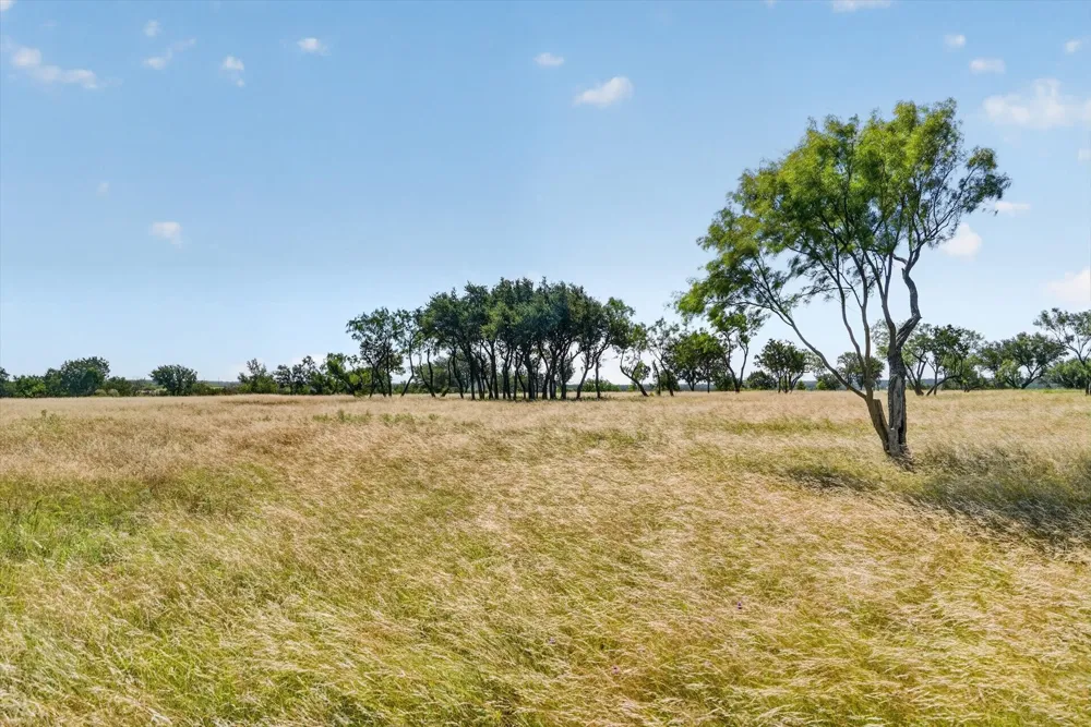 Cavalier Road Strawn, TX 76475