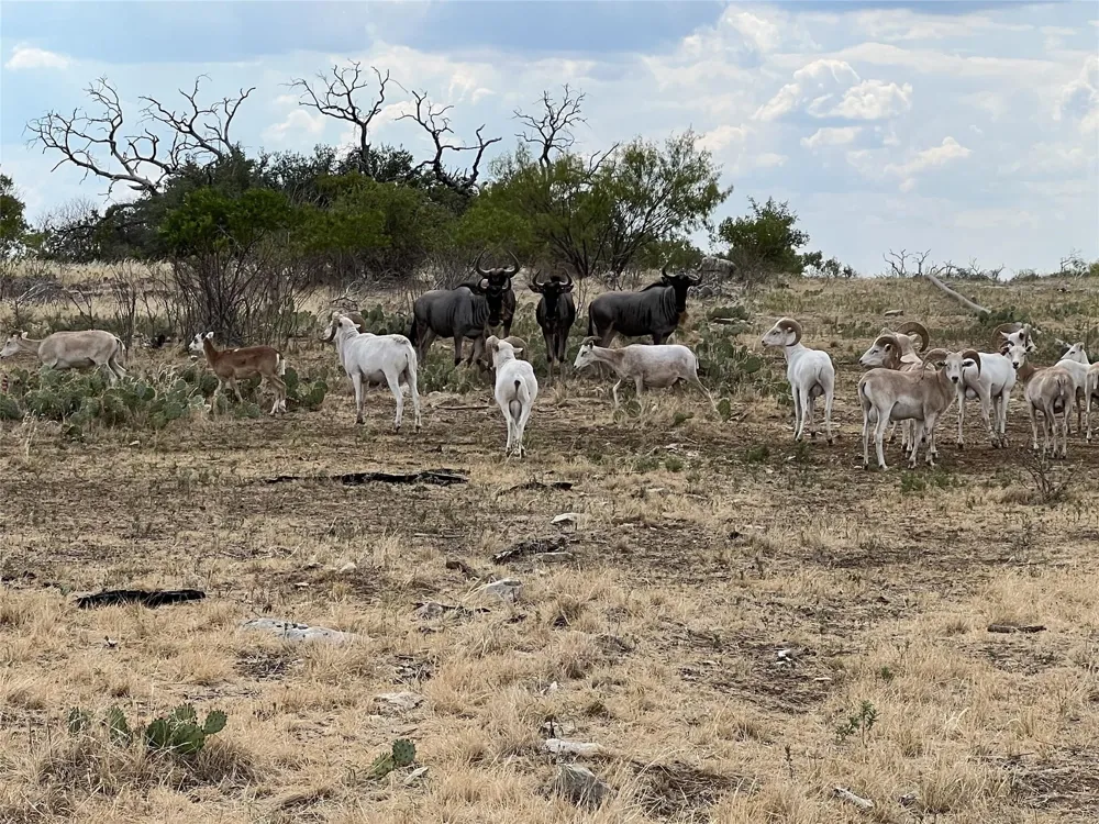 TBD Bigfoot Road Strawn, TX 76475