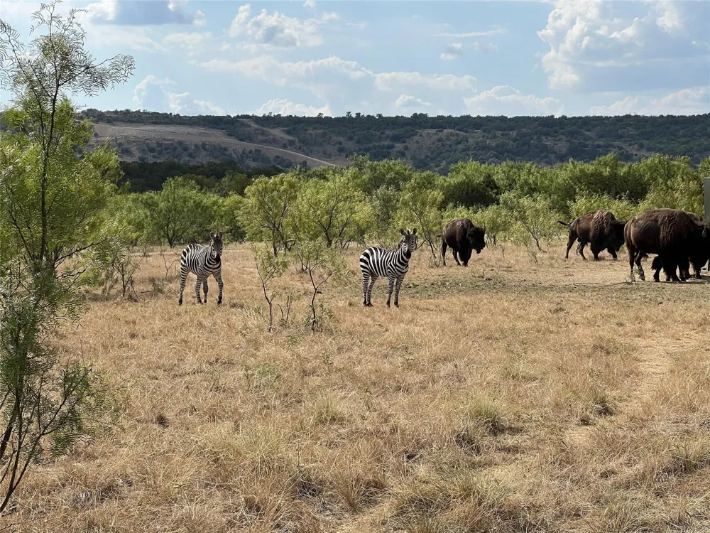 TBD Bigfoot Road Strawn, TX 76475