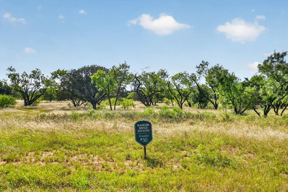 TBD Bigfoot Road Strawn, TX 76475