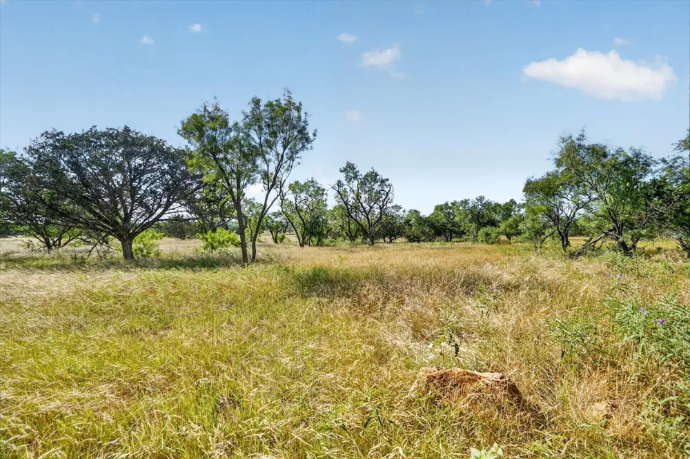 TBD Bigfoot Road Strawn, TX 76475