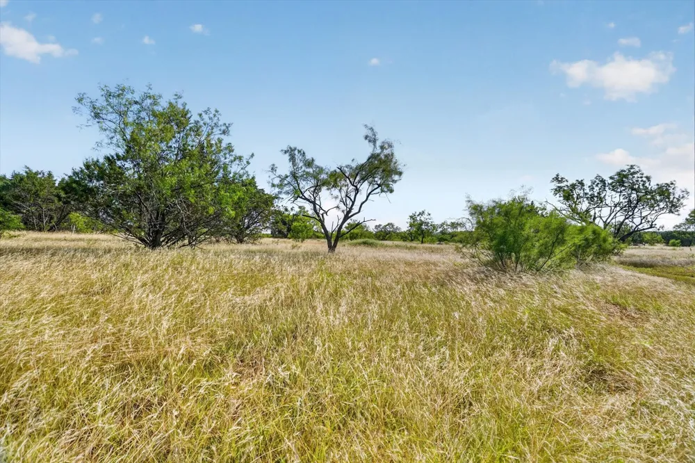 TBD Bigfoot Road Strawn, TX 76475