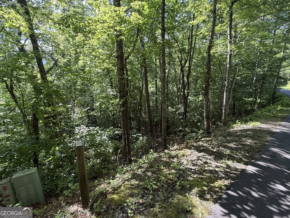 LOT 33 Fodder Creek Mill DR Hiawassee, GA 30546
