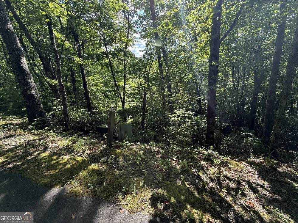 LOT 33 Fodder Creek Mill DR Hiawassee, GA 30546