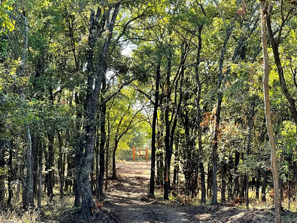720 Vest Lane Pilot Point, TX 76258