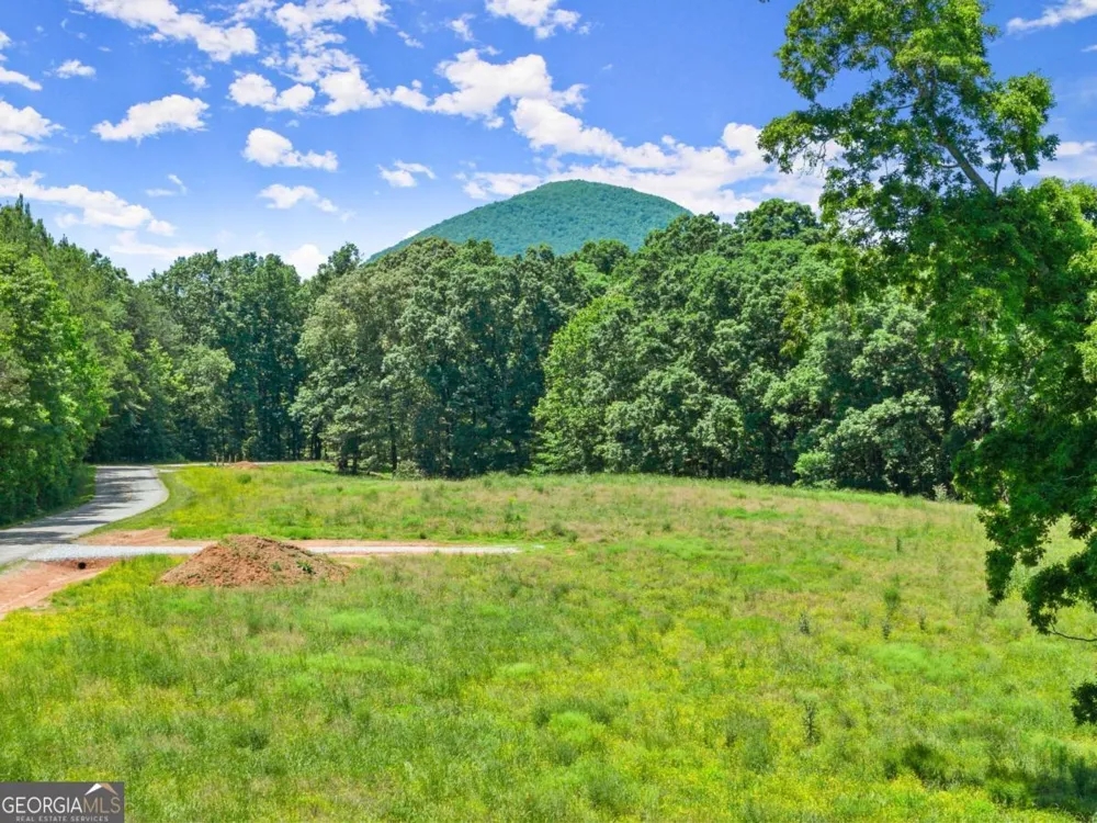 0 Arthur Allen RD Cleveland, GA 30528