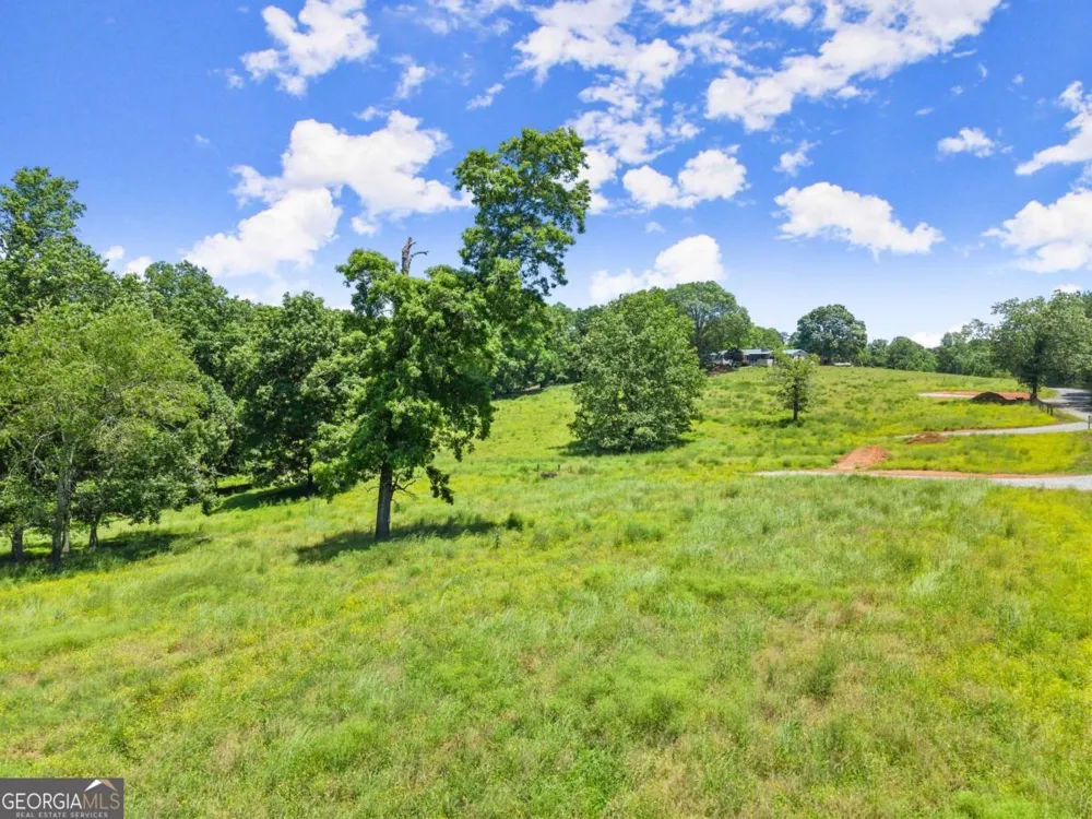 0 Arthur Allen RD Cleveland, GA 30528